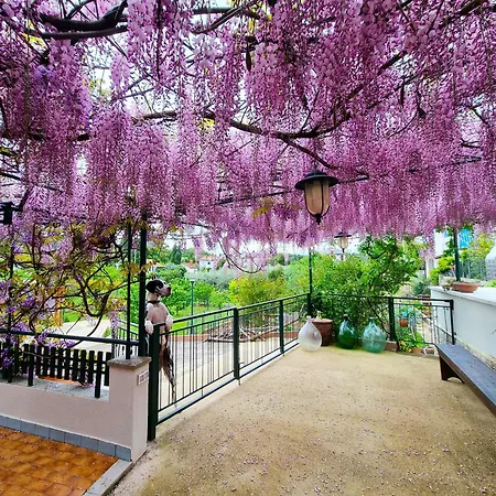 Bruno's Guest house 3*