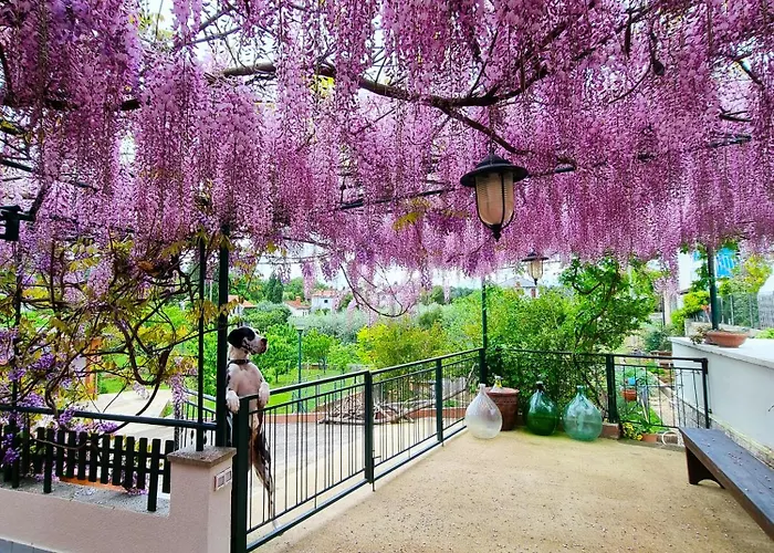 Bruno's 게스트하우스 3*