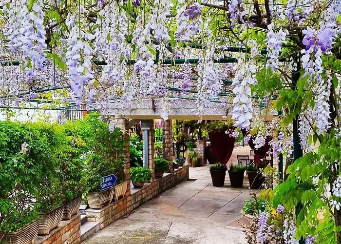 Bruno's 게스트하우스 Bašanija