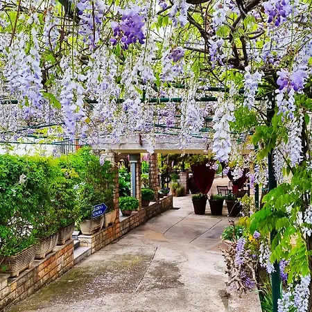 Bruno's Pensionat Bašanija